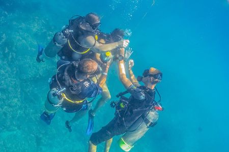 Learn to Scuba Dive in Cabo San Lucas with PADI