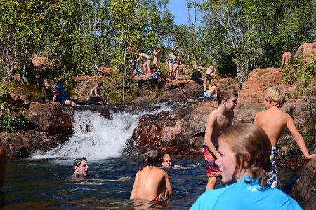 Litchfield and Jumping Crocodiles Full Day Trip from Darwin