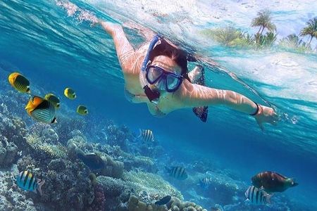 Hamata Island snorkeling tour from Marsa Alam 