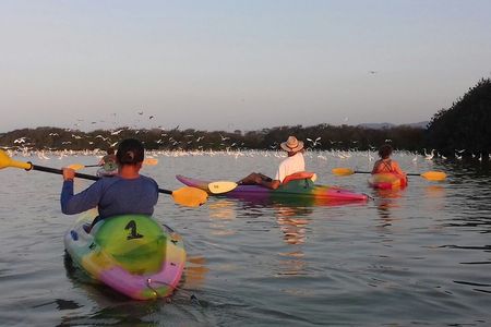 Small-Group Half-Day Kayaking and Horse Riding with Lunch
