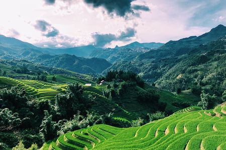 Stunning Terraced Rice Fields on 2-Day Trekking 