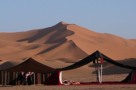 Premium Full-Day Safari, Dune Bash, Camel Ride and BBQ Meal in Desert Camp