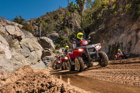 4x4 ATV Adventure with Tequila Tasting and Mexican Buffet Lunch