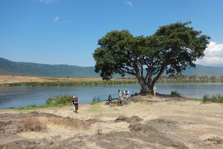 Ngorongoro Adventure Day Tour from Arusha