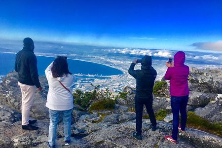 Private Tour: Table Mountain, Penguin Colony & Cape of Good Hope incl. Park Fees