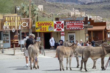 Arizona Ghost Towns and Wild-West Day Trip from Las Vegas