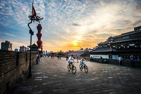4-Hour Private Tour of Xi’an with City Wall,Wild Goose Pagoda and Muslim Quarter