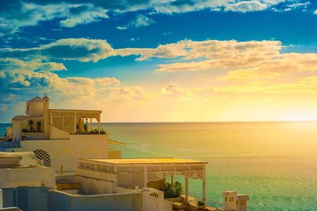 From Tunis or Hammamet: Private tour Nabeul- Hammamet