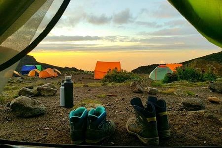 8-Day Mount Kilimanjaro Trekking Tour Lemosho Route