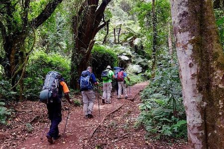 Mount Kilimanjaro: 7-Day Trekking - Machame Route