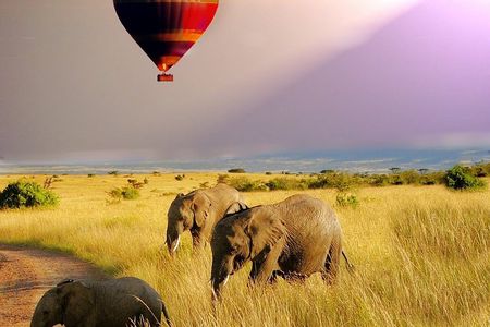 7 Days 6 Nights The Best of Kenya Adventure