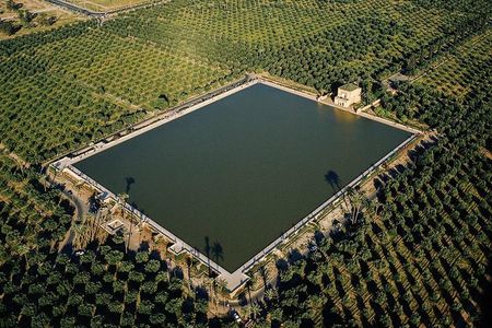 Half-Day Private Tour to Marrakech Gardens with Hotel Pickup