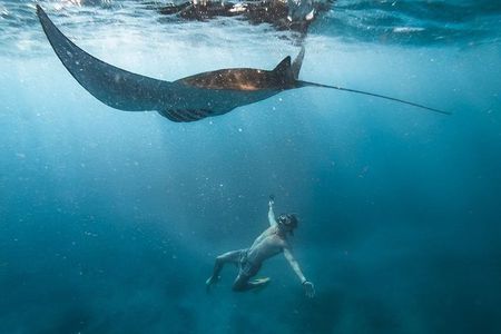Nusa penida senorkeling with Manta