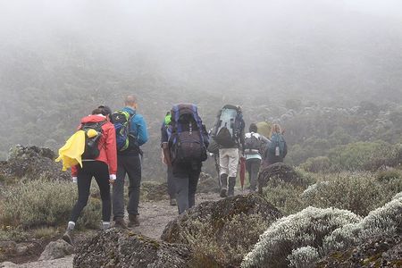 Kilimanjaro Climb- 8 Days Lemosho Route 