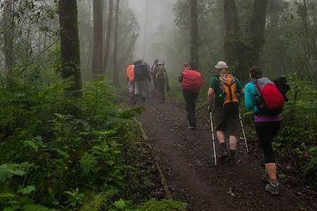 Mount Kilimanjaro 5-Day Trekking Marangu Route 
