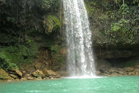 7 Hour- Private Nature Tour of the Monte Plata Rainforest