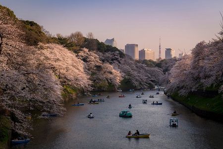 Tokyo Photography Masterclass - Private Photography Lesson