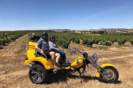 Ultimate Barossa Adventure Day Tour For 2 - Combined Mustang Convertible-Trike