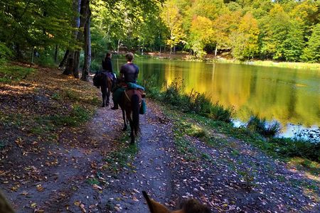 Horseback Riding in Armenia