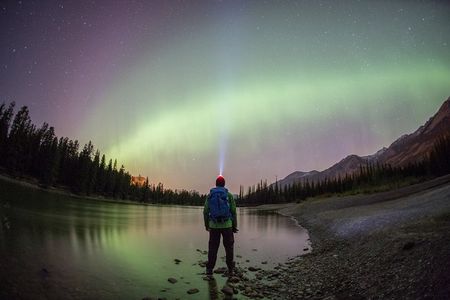 Canmore: Stargazing and Nature by Nightfall Walking Tour - 2hr 
