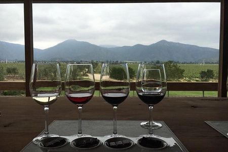 Private Wine Tour in Valparaiso