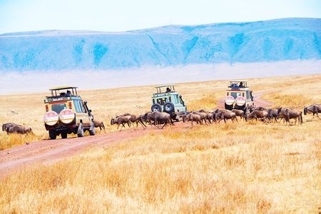 6 Days Lodge Safari.