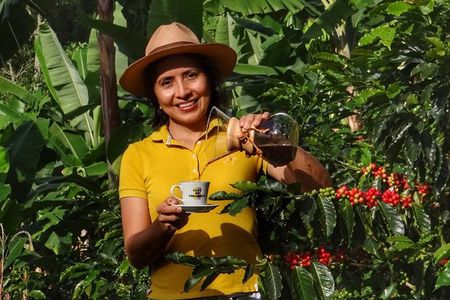 Explore the Coffee Process_From Tree to Cup & Fun by Jeep