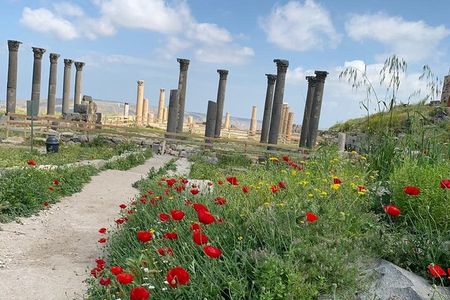 Umm Qais, Jerash & Ajloun Castle Day Tour from Amman