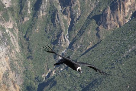 3days: Colca Canyon Trek 3d/2n