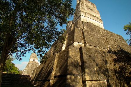 Tikal Full-Day Group Tour