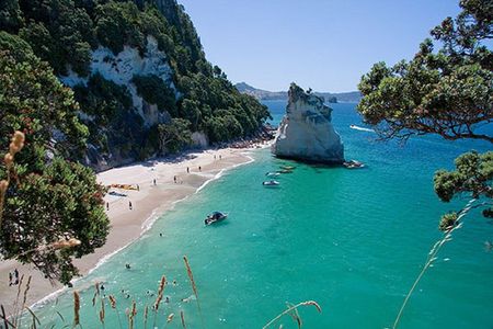 Coromandel, Cathedral Cove and Hot Water Beach Full Day Tour From Auckland