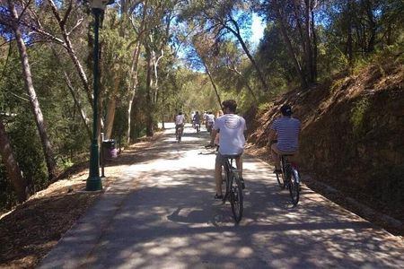 Malaga E-Bike Tour: Old Town, Gibralfaro Forest and Coast