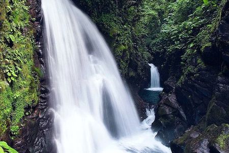 La Paz Waterfall Gardens and Wildlife Refuge Tour from San Jose