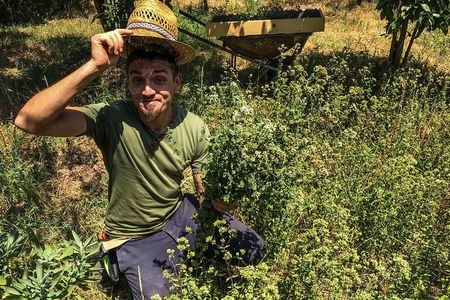 HERBS LAB - from plant to glass