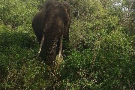 Day Trip To Arusha National Park