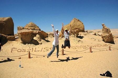 Day Tour to El Fayoum from Cairo 