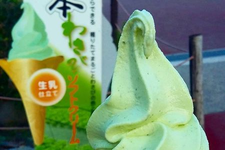 Wasabi Farm Walking Tour & Lunch