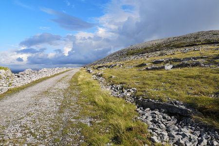 The Burren and Cliffs of Moher Full Day Private Tour from Galway