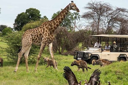 Cape Town - Overnight Best of Inverdoorn Safari Game Reserve 