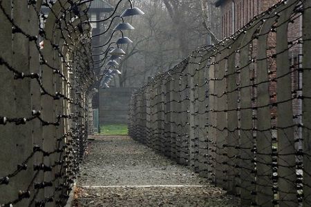 Krakow: Auschwitz-Birkenau Shared English Tour and Transfer