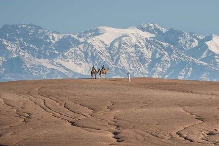 Marrakech: Agafay Desert Dinner Show and Sunset Camel Ride