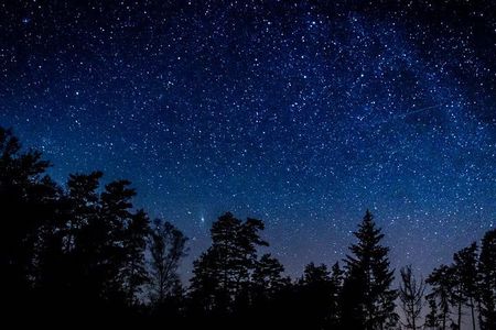 Private Stargazing - Sequoia National Park