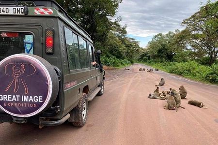 3days Serengeti National park and Ngorongoro Crater Tanzania Safari 