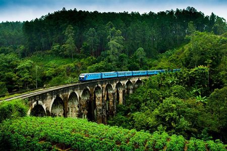Sri Lanka Most Popular - 12 Days.