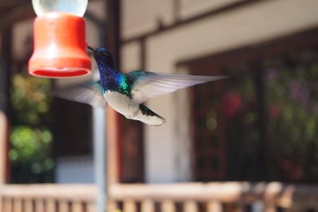 Mindo Cloud Forest PRIVATE Day Trip