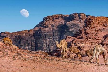 2 Days Jordan Private Tour:Petra,Wadi Rum,and Dead Sea from Amman
