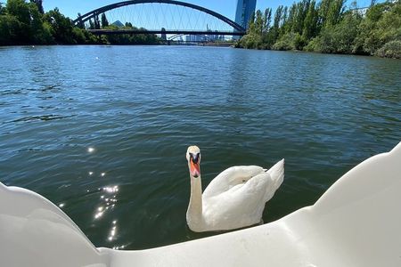 Explore Bird & Marine Wildlife private Boat Tour in English