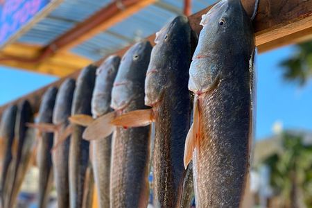 Private Bay Fishing South Padre Island