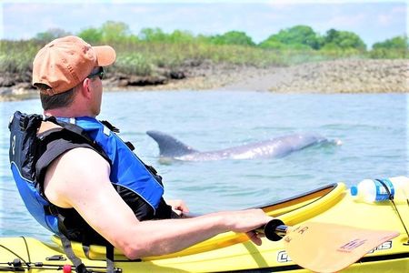 Guided Kayak Eco Tour in Charleston