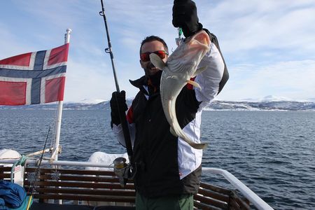 From Tromsø: Fishing Adventure